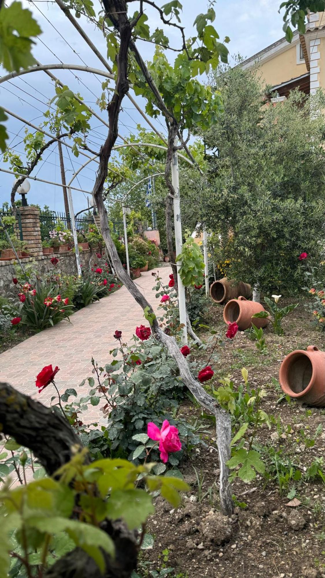 Apidalos Naus Apartment Corfu  외부 사진