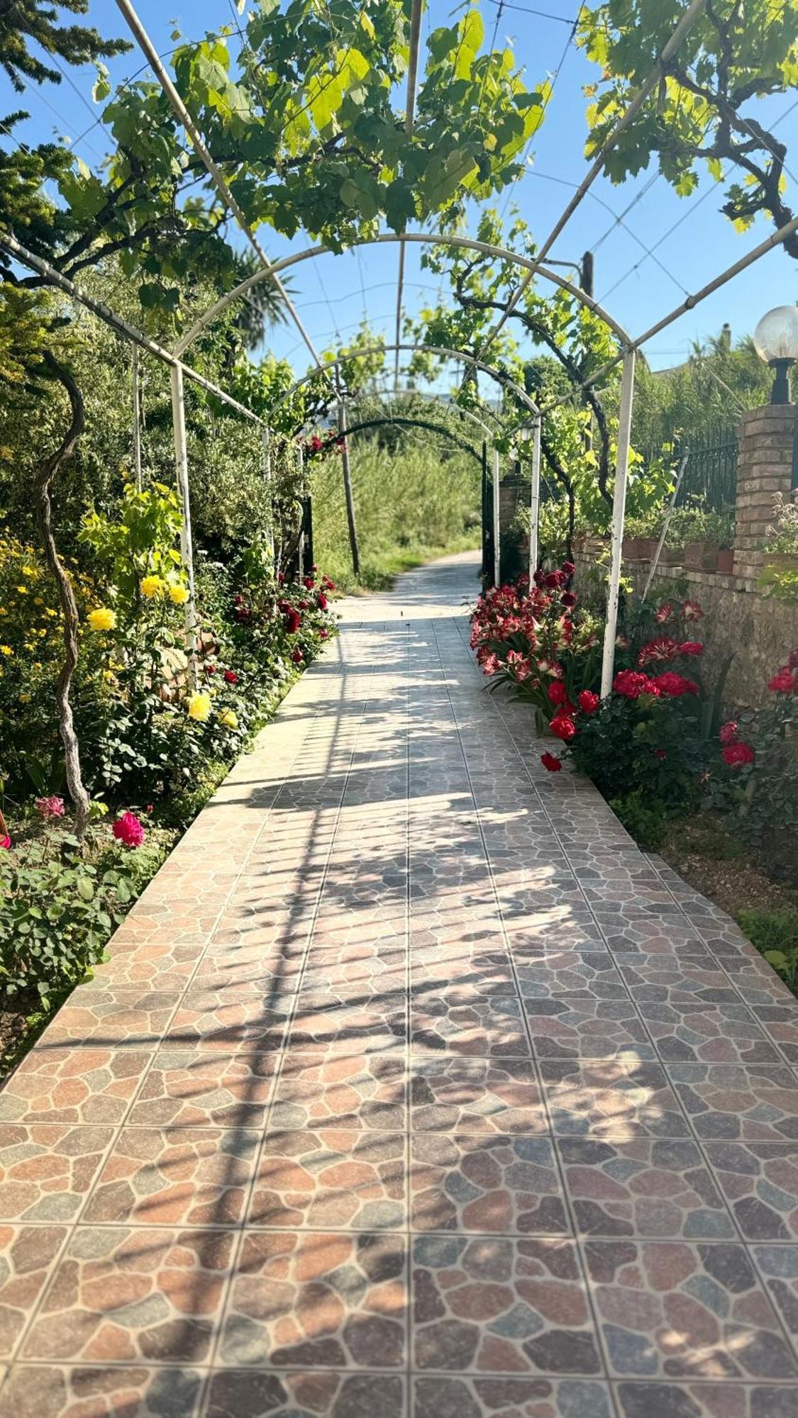 Apidalos Naus Apartment Corfu  외부 사진